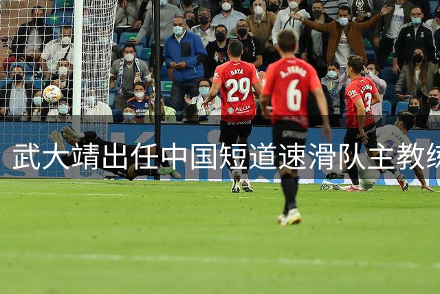 武大靖出任中国短道速滑队主教练