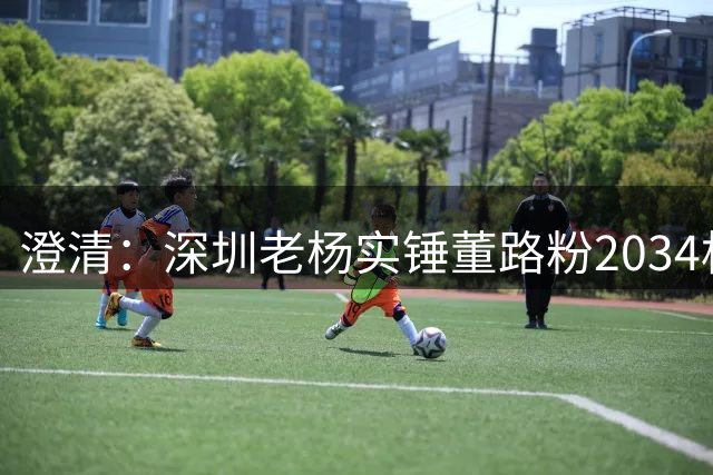 澄清：深圳老杨实锤董路粉2034杯后过激言论（省流无删减）