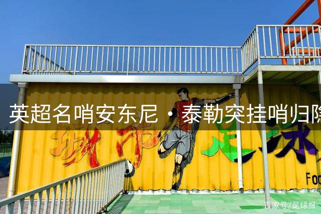 英超名哨安东尼·泰勒突挂哨归隐 揭露裁判行业背后高压黑幕