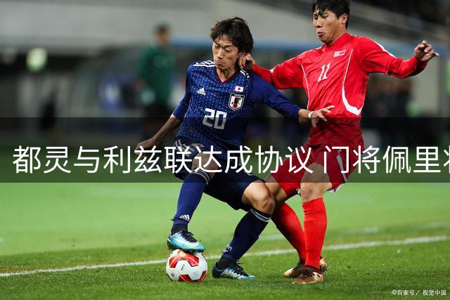 都灵与利兹联达成协议 门将佩里将租借加盟