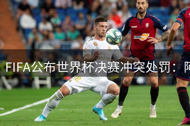FIFA公布世界杯决赛冲突处罚：阿根廷4人遭禁赛 足协被重罚32万美元